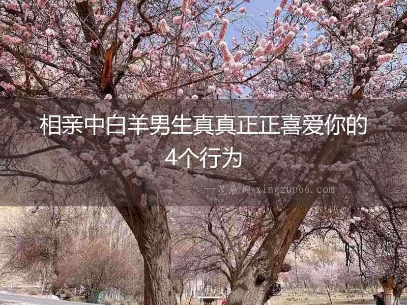 相親中白羊男生真真正正喜愛你的4個行為