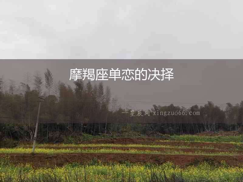 摩羯座單戀的決擇
