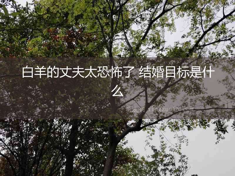 白羊的丈夫太恐怖了 結婚目標是什么