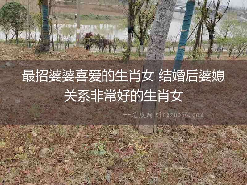 最招婆婆喜愛的生肖女 結婚后婆媳關系非常好的生肖女