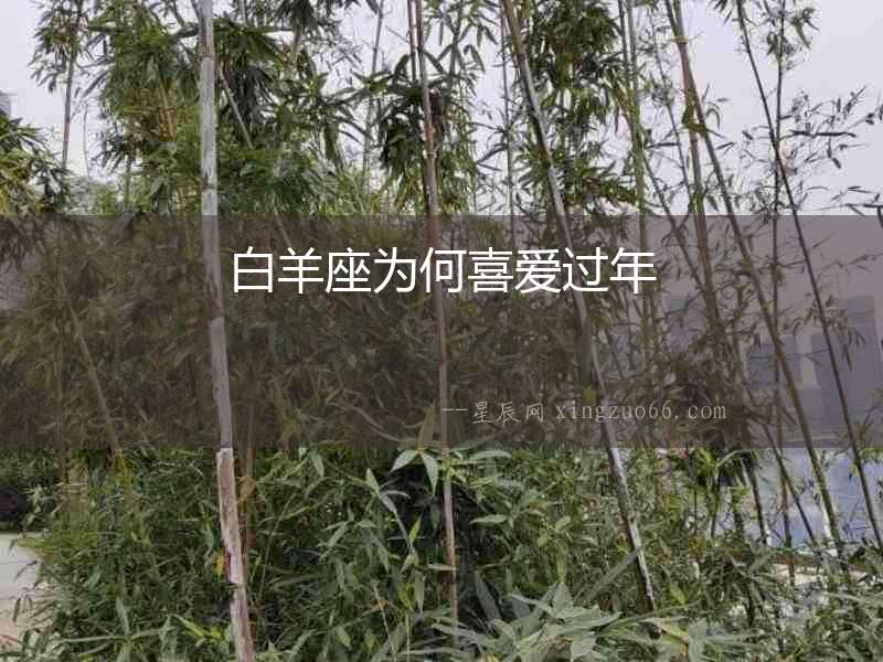 白羊座為何喜愛過年