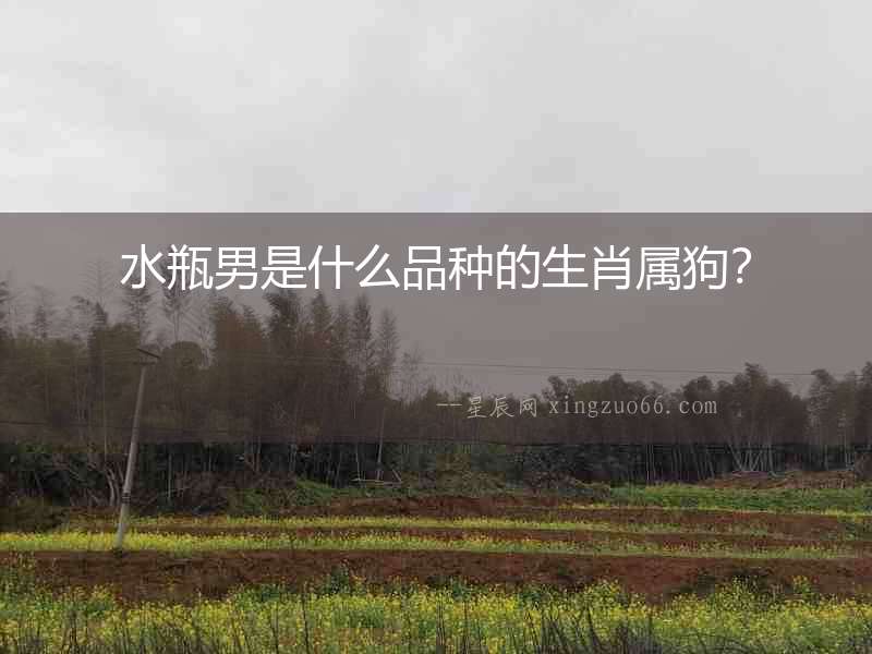 水瓶男是什么品種的生肖屬狗？