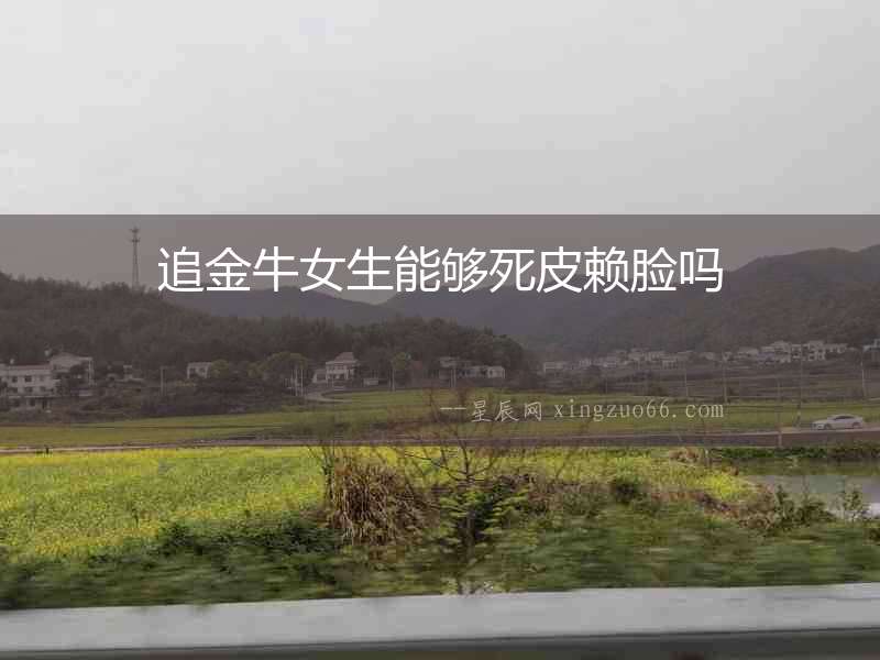 追金牛女生能夠死皮賴臉嗎