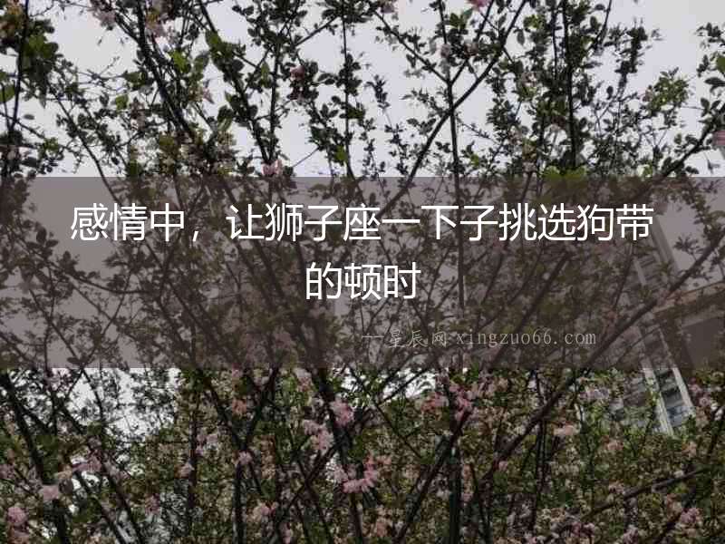 感情中，讓獅子座一下子挑選狗帶的頓時