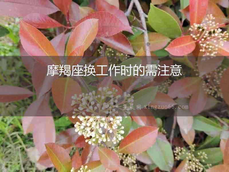 摩羯座換工作時(shí)的需注意