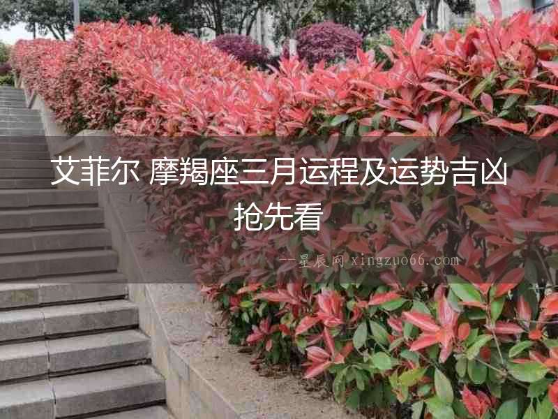 艾菲爾 摩羯座三月運程及運勢吉兇搶先看