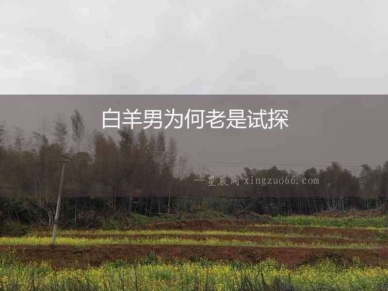 白羊男為何老是試探