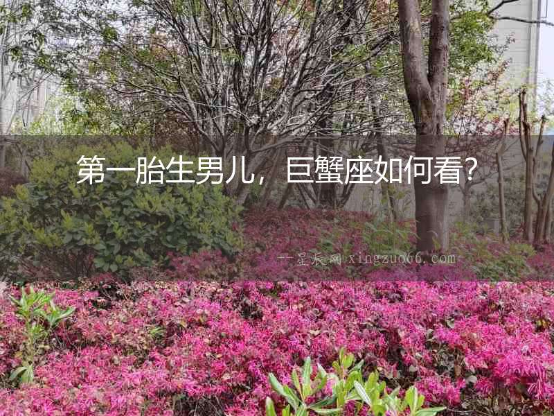 第一胎生男兒，巨蟹座如何看？