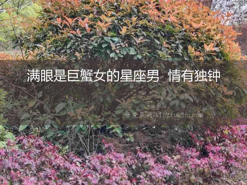 滿眼是巨蟹女的星座男  情有獨鐘