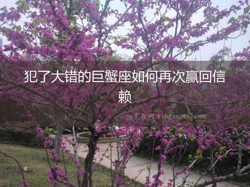 犯了大錯(cuò)的巨蟹座如何再次贏回信賴