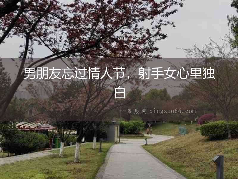 男朋友忘過情人節，射手女心里獨白