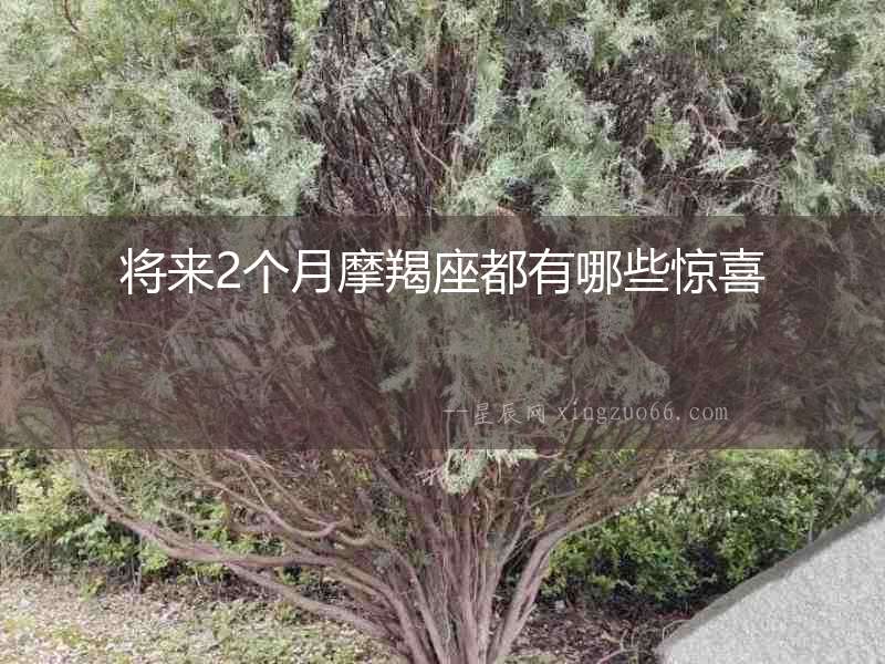 將來2個月摩羯座都有哪些驚喜