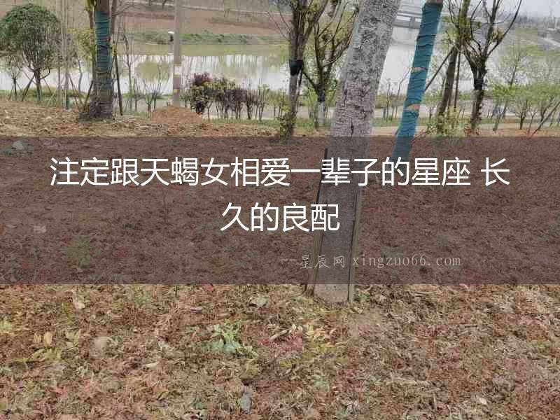 注定跟天蝎女相愛一輩子的星座 長久的良配