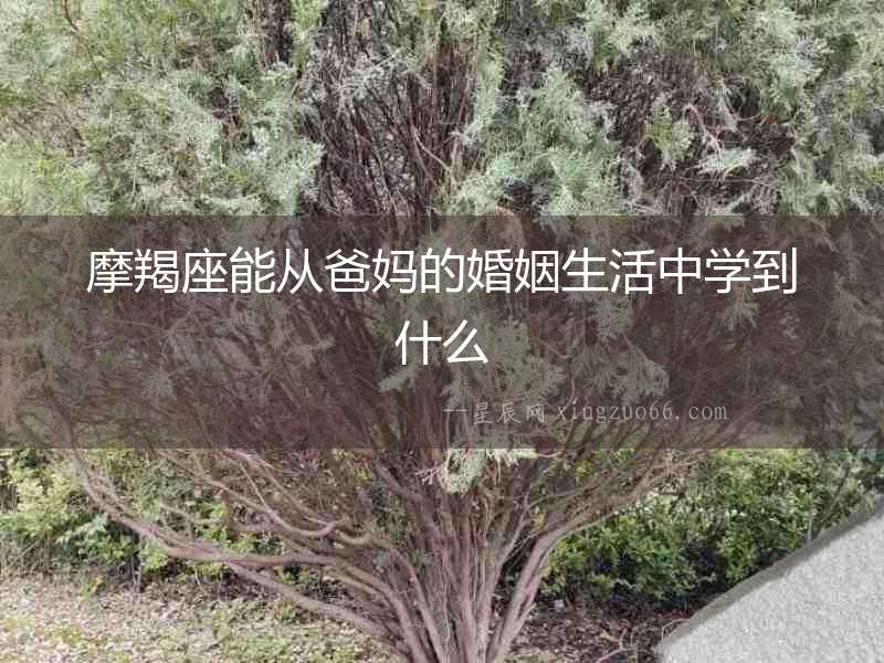 摩羯座能從爸媽的婚姻生活中學到什么