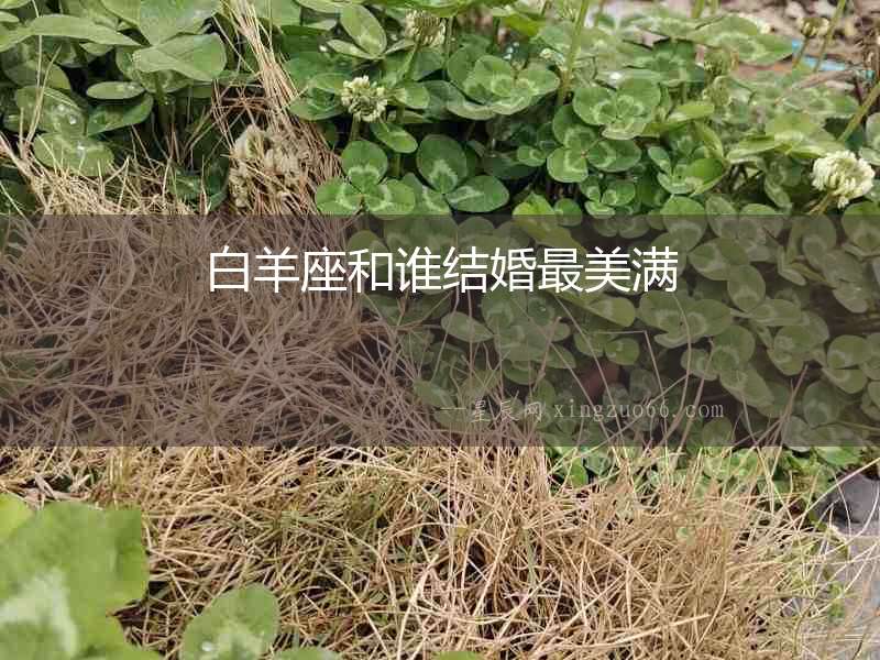 白羊座和誰(shuí)結(jié)婚最美滿