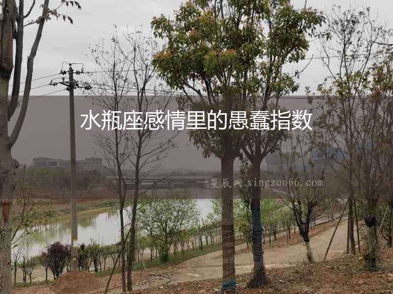 水瓶座感情里的愚蠢指數