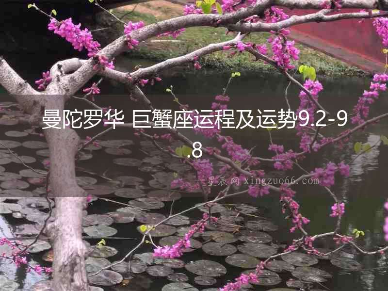 曼陀羅華 巨蟹座運(yùn)程及運(yùn)勢(shì)9.2-9.8