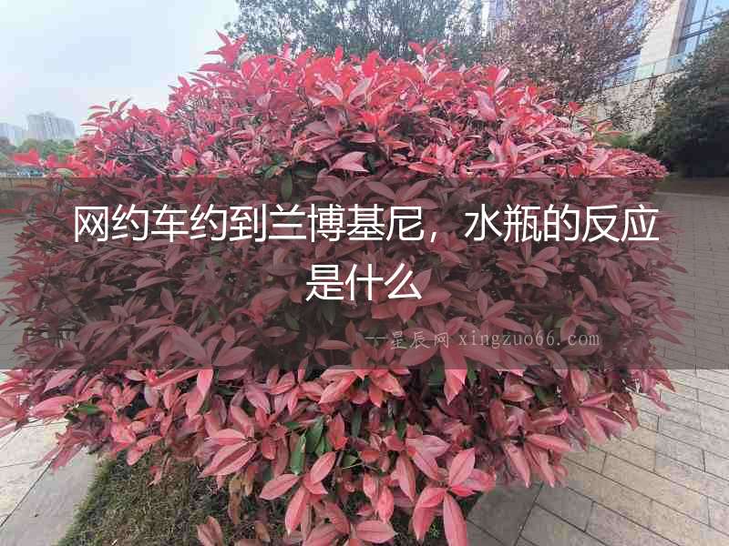 網(wǎng)約車約到蘭博基尼，水瓶的反應(yīng)是什么
