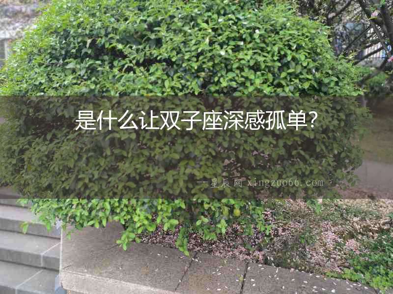 是什么讓雙子座深感孤單？