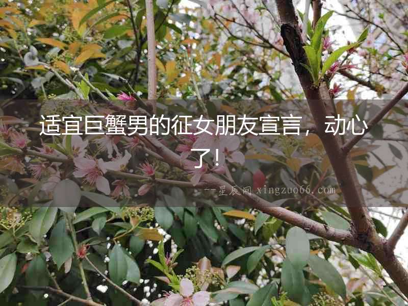 適宜巨蟹男的征女朋友宣言，動(dòng)心了！
