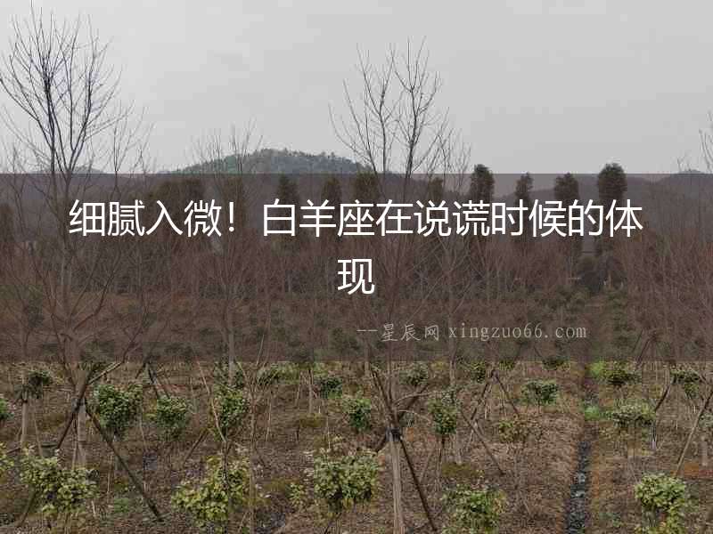 細膩入微！白羊座在說謊時候的體現