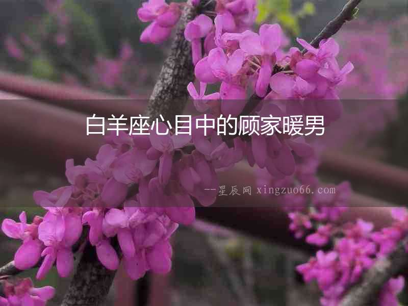 白羊座心目中的顧家暖男