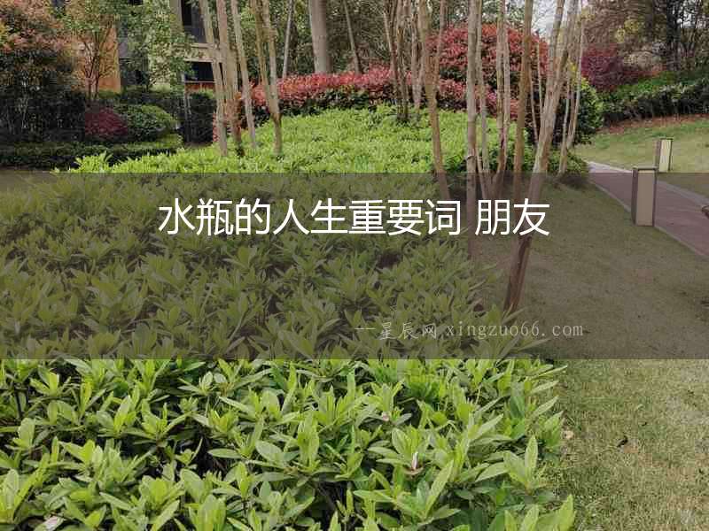 水瓶的人生重要詞 朋友