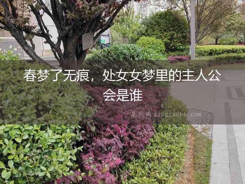 春夢了無痕，處女女夢里的主人公會是誰
