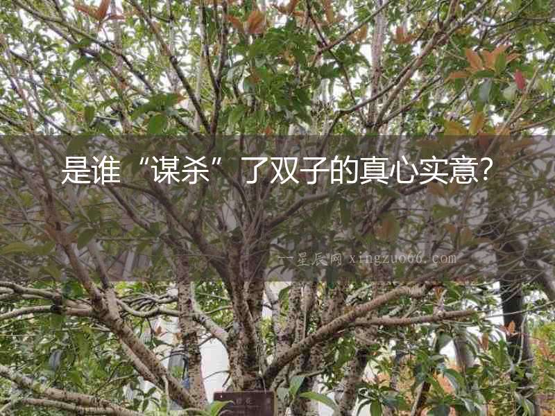 是誰“謀殺”了雙子的真心實意？