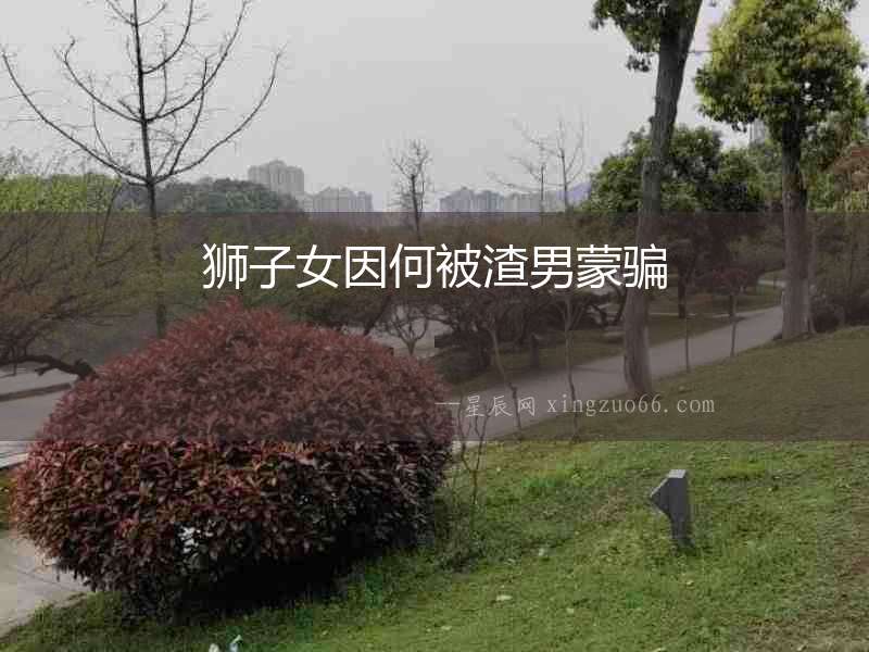 獅子女因何被渣男蒙騙