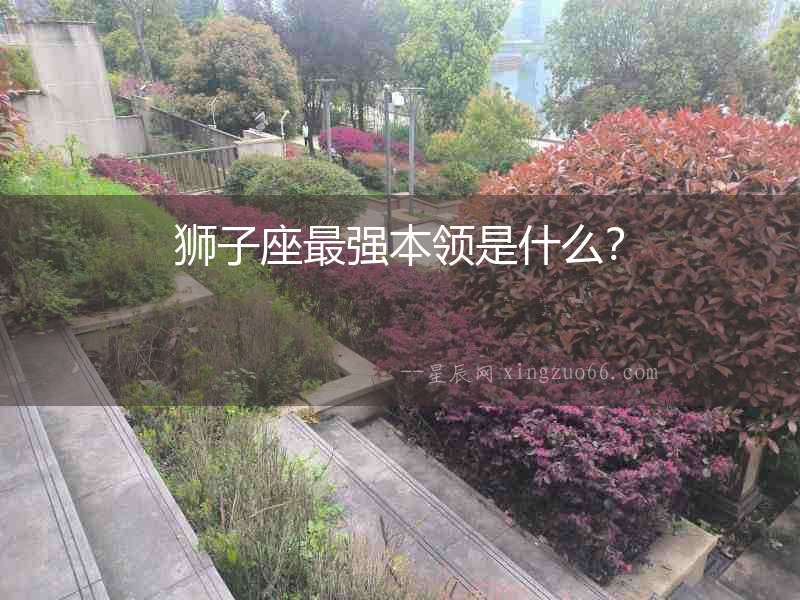 獅子座最強本領是什么？