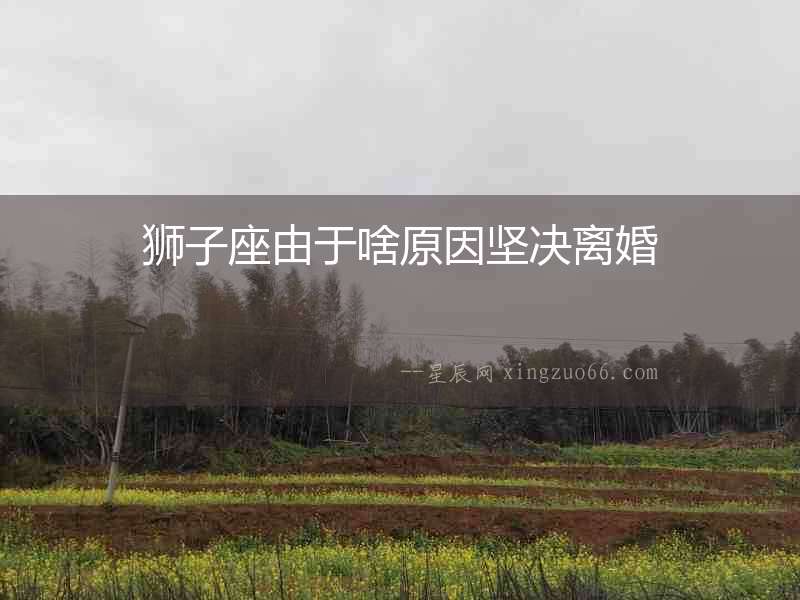 獅子座由于啥原因堅決離婚