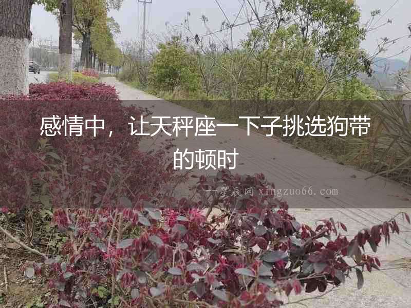 感情中，讓天秤座一下子挑選狗帶的頓時