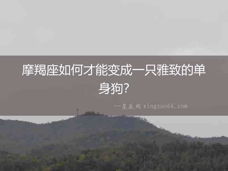 摩羯座如何才能變成一只雅致的單身狗？