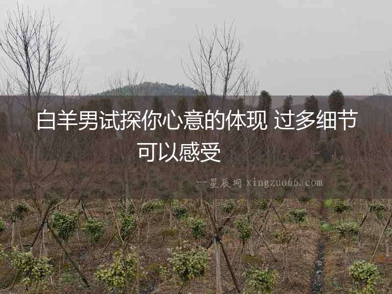 白羊男試探你心意的體現(xiàn) 過(guò)多細(xì)節(jié)可以感受  　　