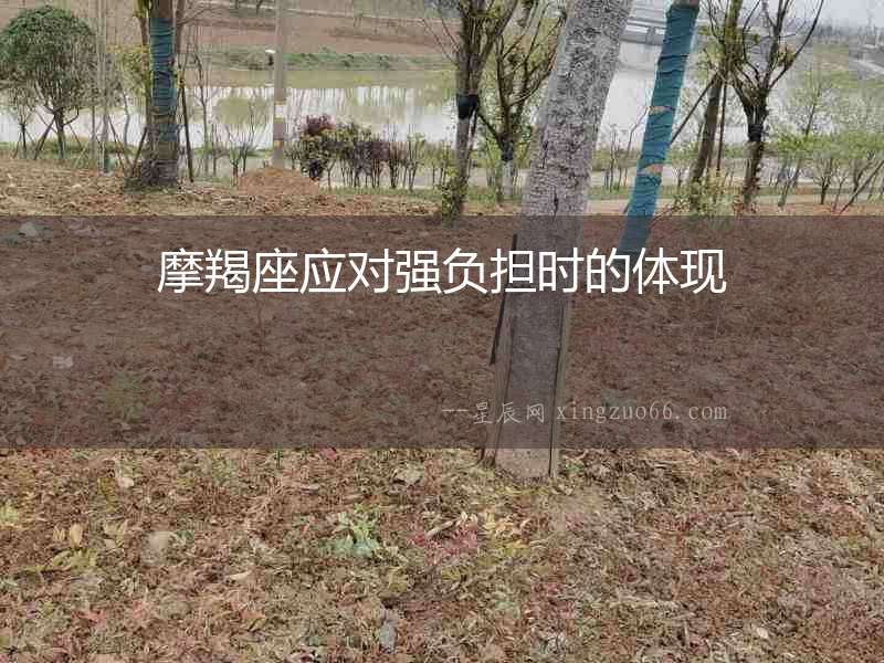 摩羯座應對強負擔時的體現