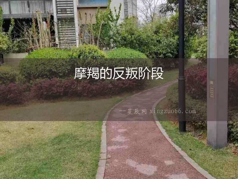 摩羯的反叛階段