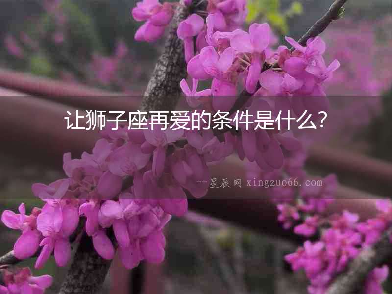 讓獅子座再愛的條件是什么？