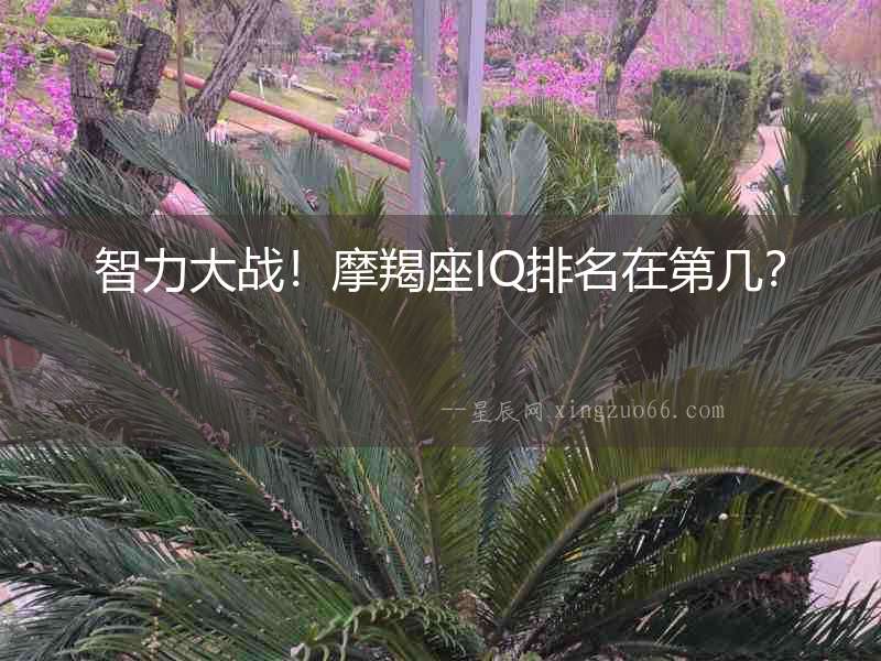 智力大戰(zhàn)！摩羯座IQ排名在第幾？