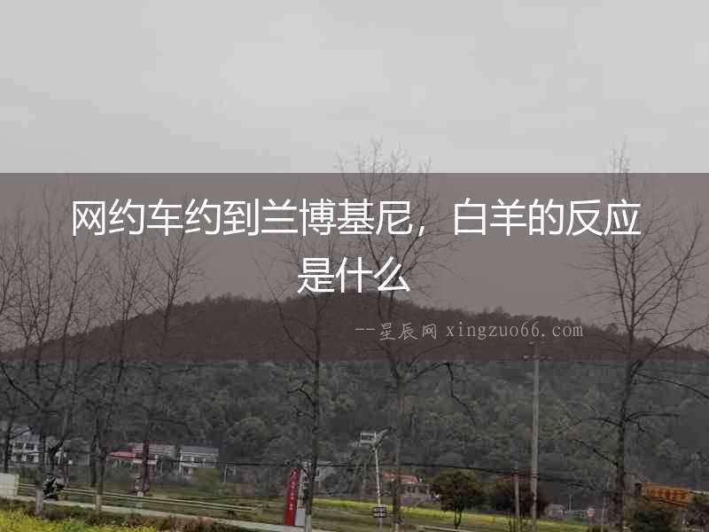 網約車約到蘭博基尼，白羊的反應是什么