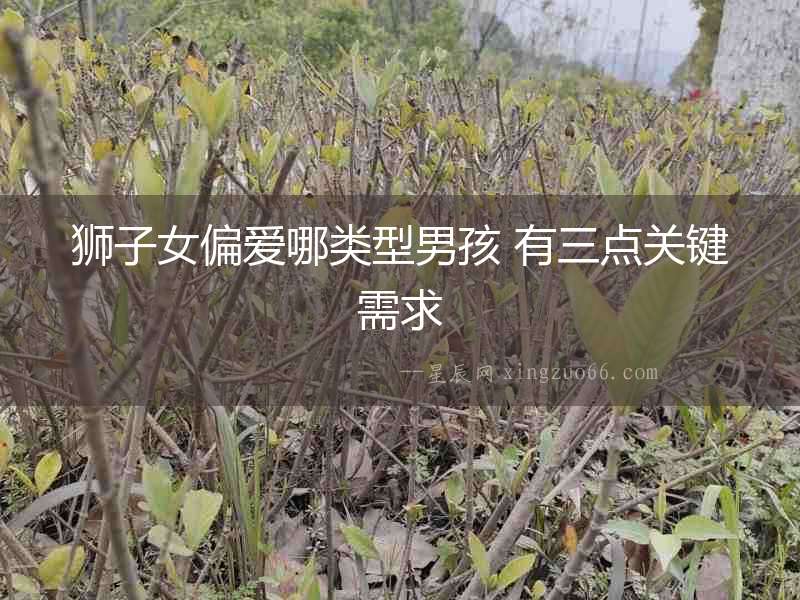 獅子女偏愛哪類型男孩 有三點關鍵需求