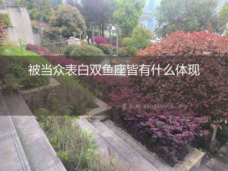 被當(dāng)眾表白雙魚座皆有什么體現(xiàn)