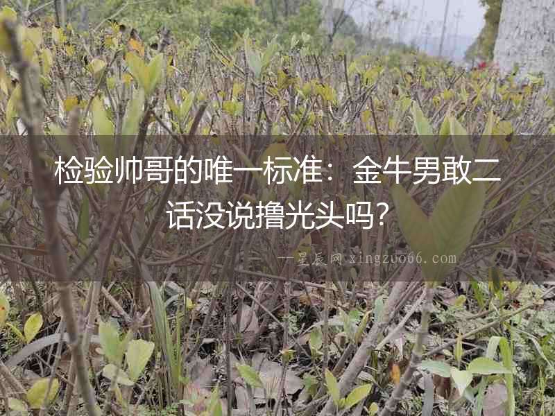 檢驗帥哥的唯一標準：金牛男敢二話沒說擼光頭嗎？