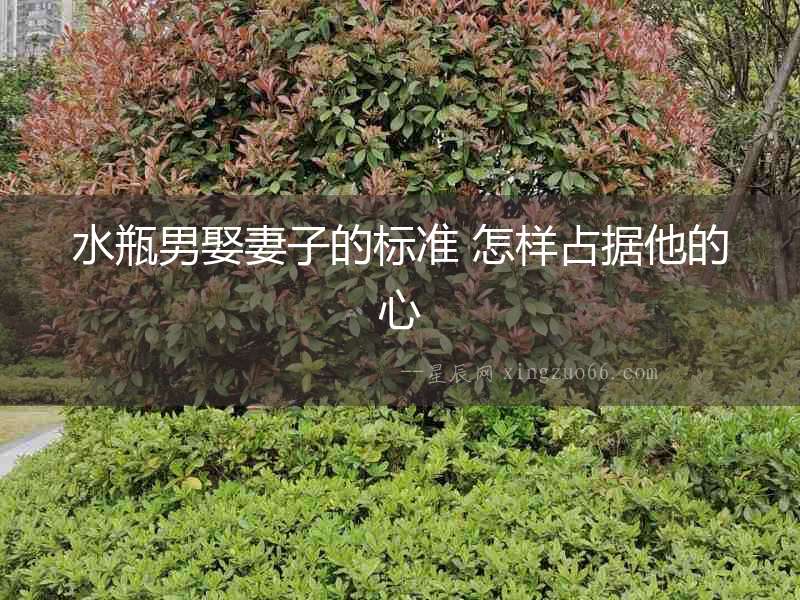 水瓶男娶妻子的標準 怎樣占據他的心