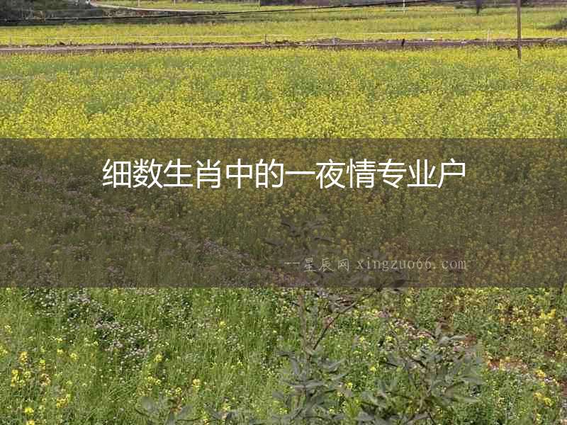 細數(shù)生肖中的一夜情專業(yè)戶