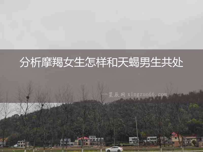 分析摩羯女生怎樣和天蝎男生共處