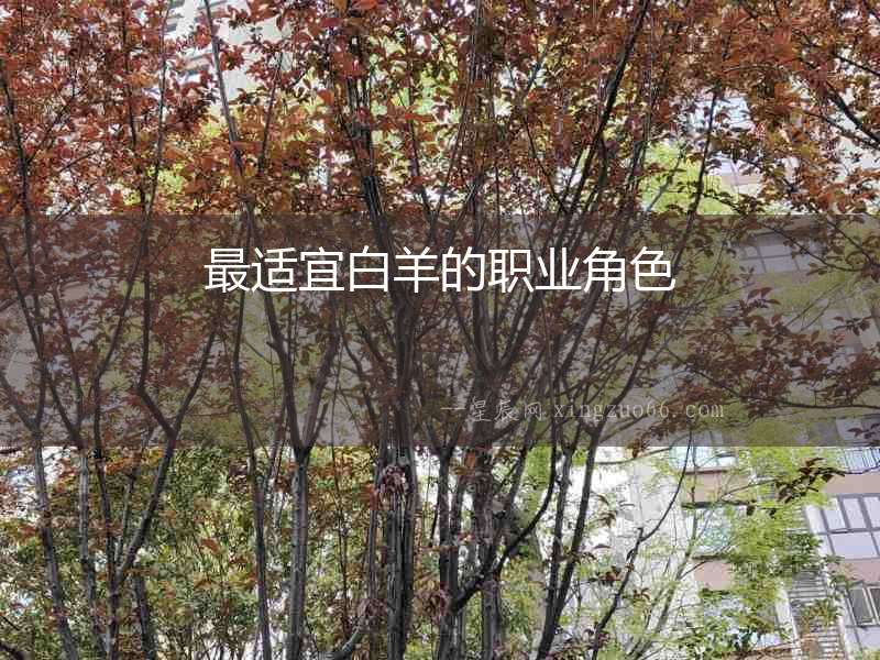 最適宜白羊的職業(yè)角色