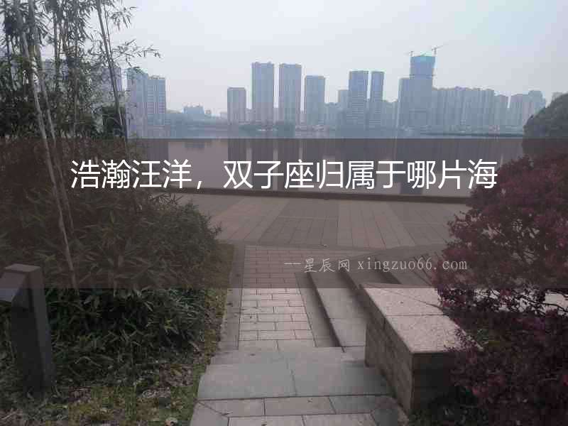 浩瀚汪洋，雙子座歸屬于哪片海