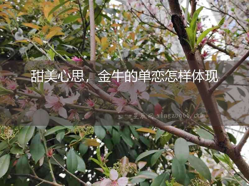 甜美心思，金牛的單戀怎樣體現(xiàn)