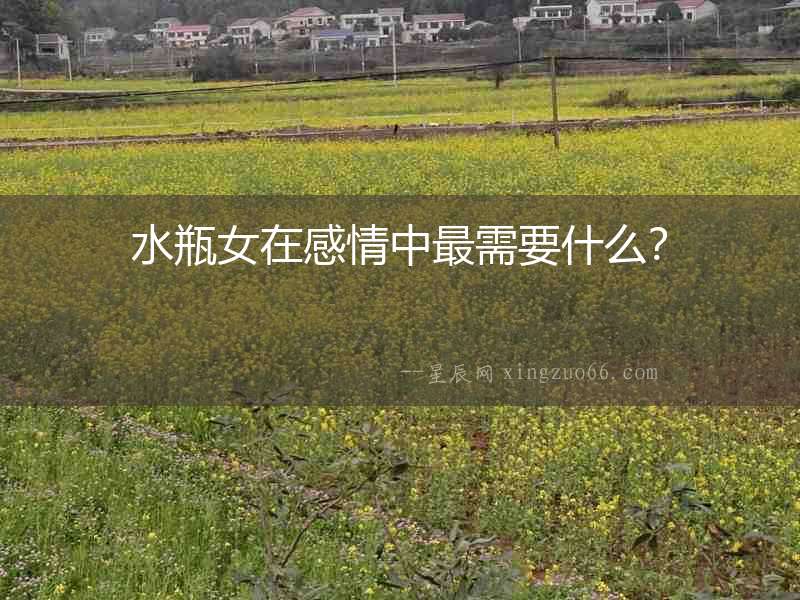 水瓶女在感情中最需要什么？